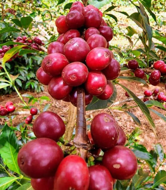 376289037_840839400763015_1550867889956870527_n