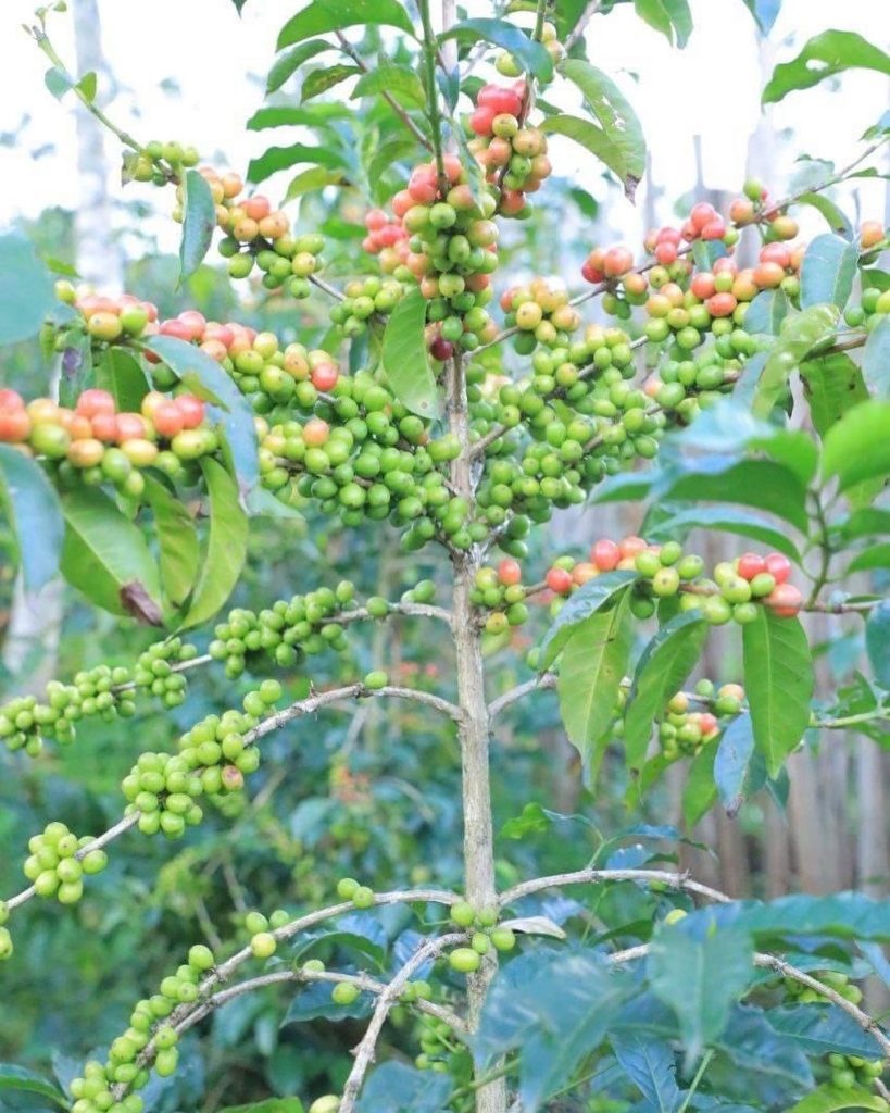 468040627_18059513266893414_3227036884646551685_n