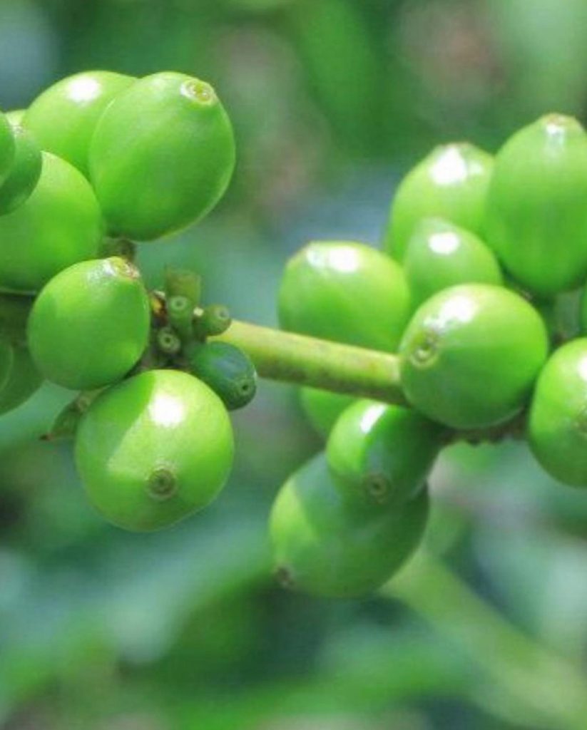 468092073_18059511886893414_6404553174690250449_n